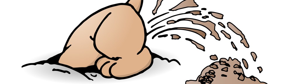 zielobjektsuche feld